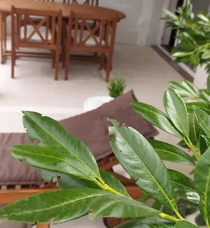 Διαμέρισμα Holiday Apartment *