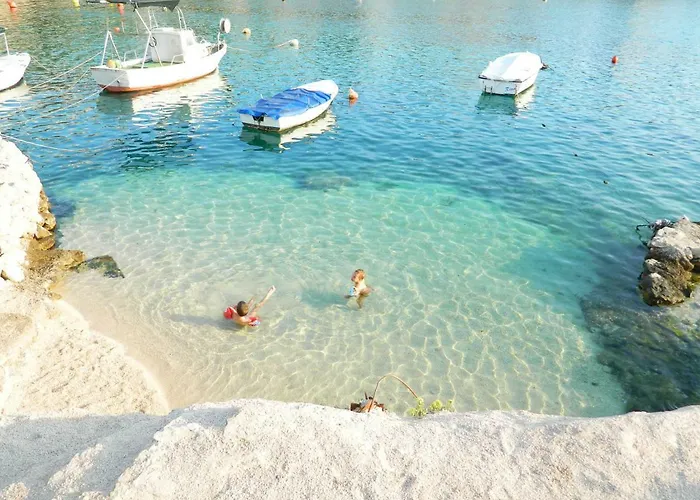 Holiday Apartment Apartment